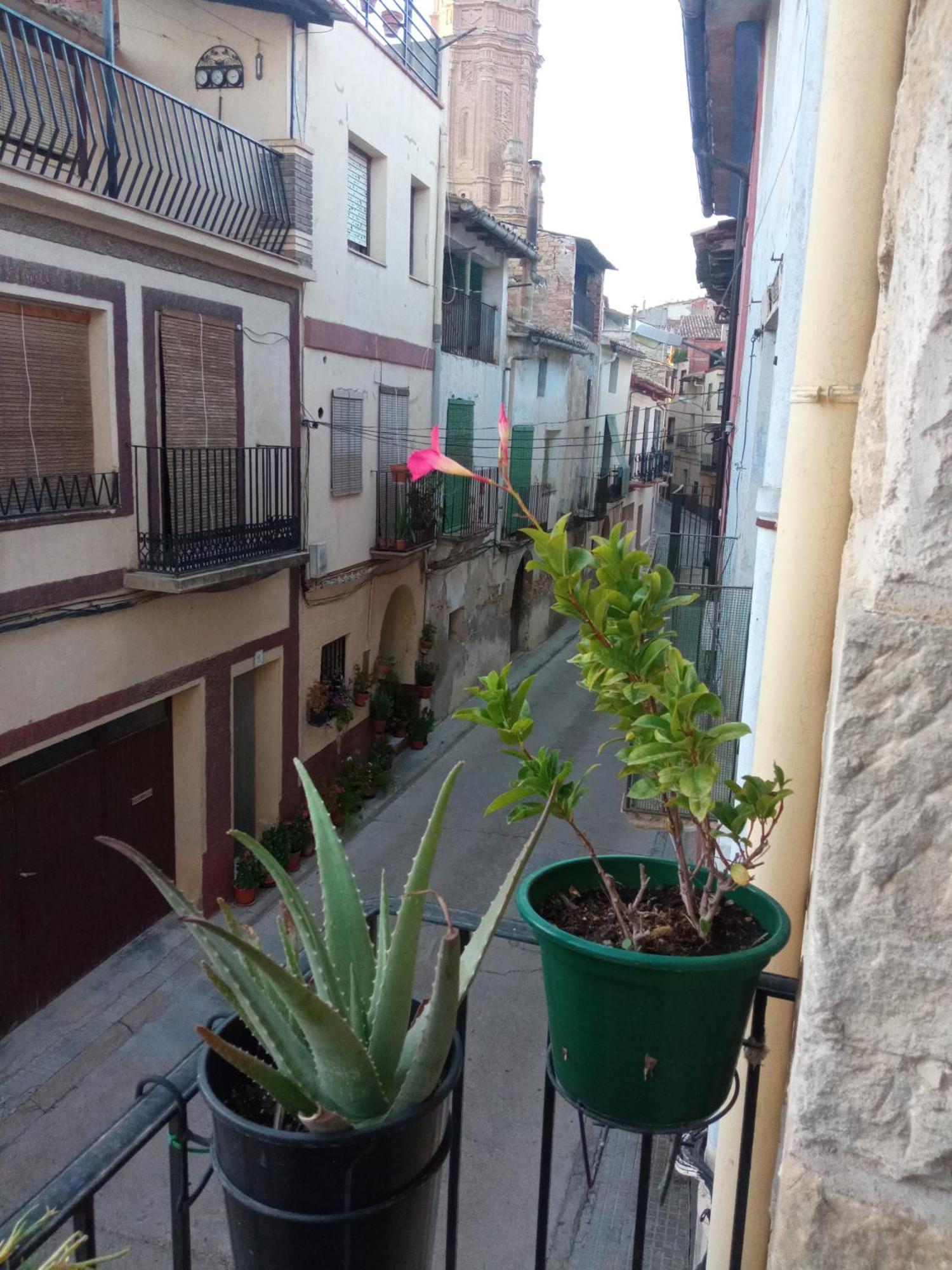 Musas Gastro Casa Rural Apartment Valdealgorfa Exterior foto